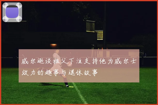 威尔逊谈祖父下注支持他为威尔士效力的趣事与退休故事