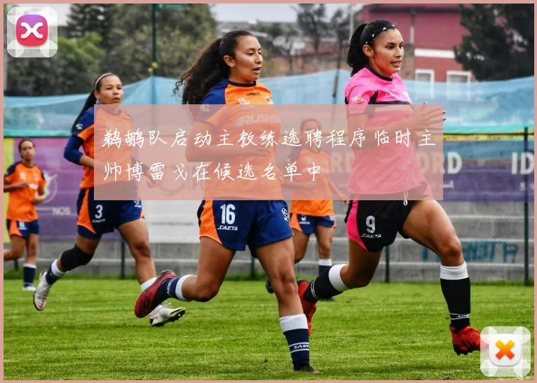 鹈鹕队启动主教练选聘程序临时主帅博雷戈在候选名单中